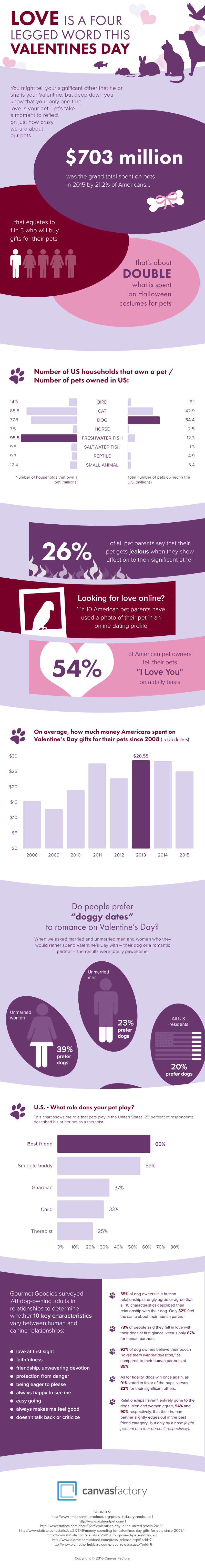 Valentines Day Pets Infographic