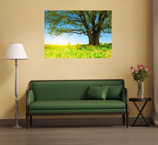Canvas wall art can brighten any room.