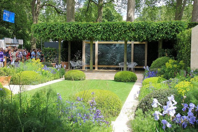 Modern Garden - Chelsea Flower Show