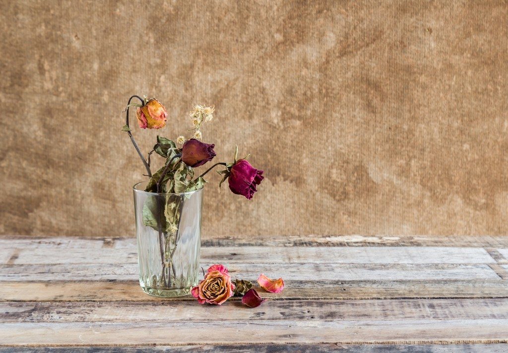 Dry Roses - Flower Wall Art Prints 