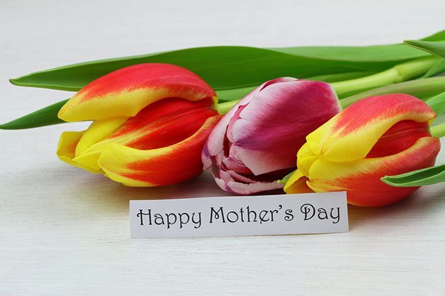 Mothers Day Poems - Tulips - Mothers Day Card