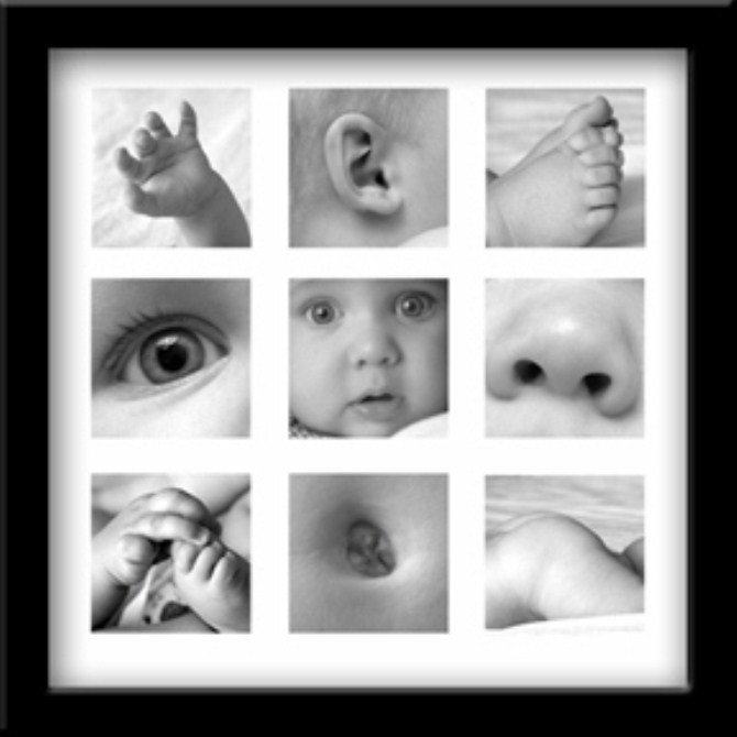 Baby Photo Ideas - Baby Bits