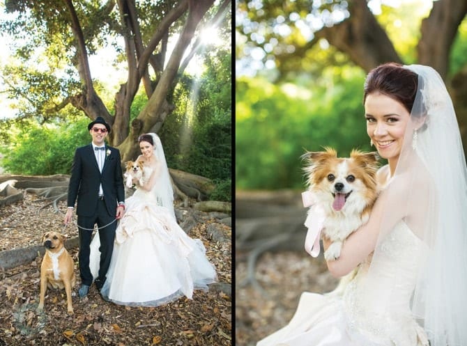 Dog Photography - Wedding
