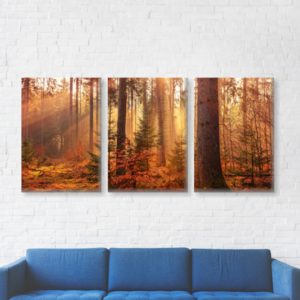 landscape split canvas prints