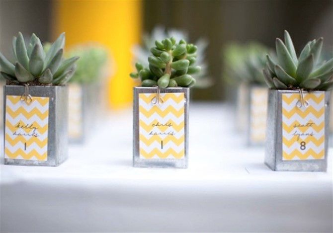 Unique Wedding Favor Ideas - Mini Succulents