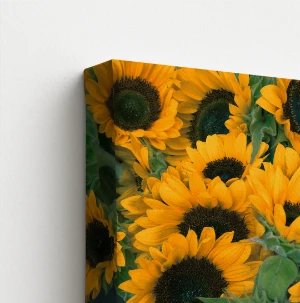 Gallery Canvas Wrap