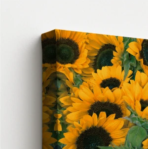 Mirror Image Canvas Wrap