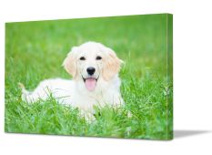 photo to canvas printing