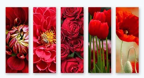 Ruby Wedding Anniversary