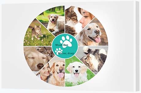 40th Birthday Gift Ideas - Modish Print