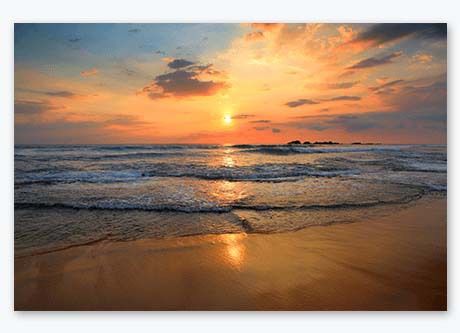 40th Birthday Gift Ideas - Metal Print