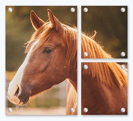Photo Gifts - Glass Wall Display