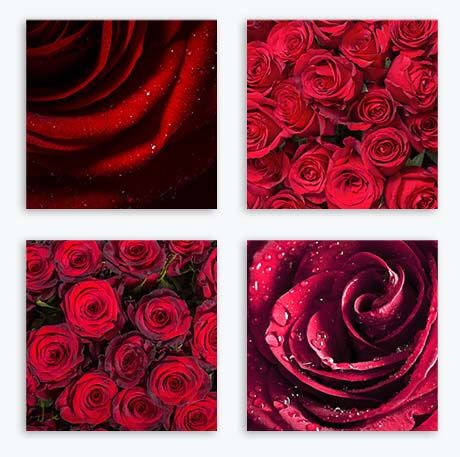 Ruby Wedding Anniversary