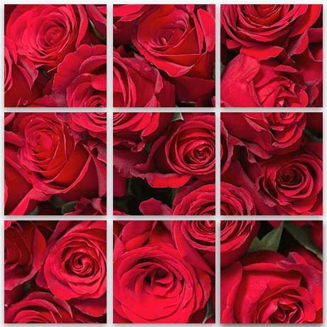 Valentines Gifts - Rose Split Image Canvas