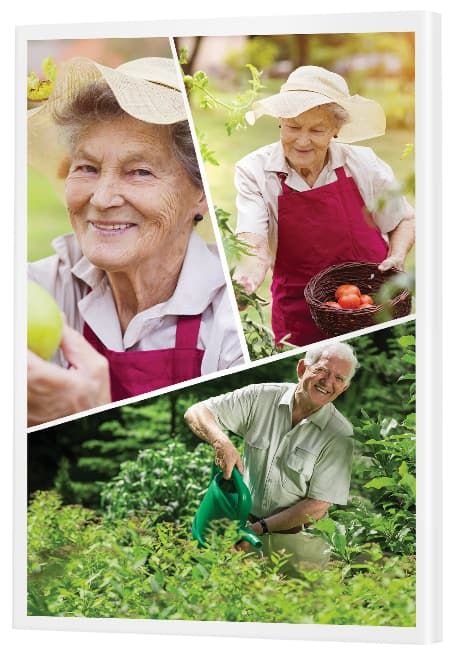 Golden Wedding Anniversary