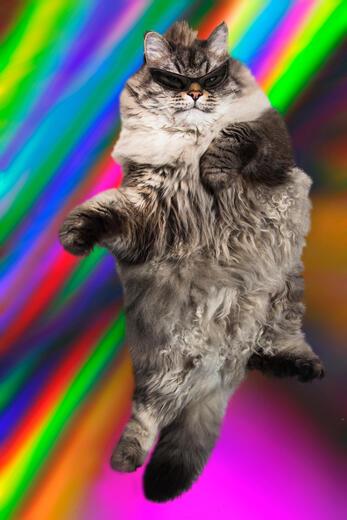 Thumbnail for original image