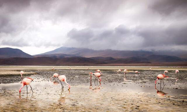 Thumbnail for original image