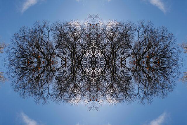 Thumbnail for original image