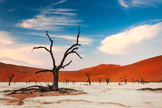 Thumbnail for original image