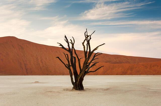 Thumbnail for original image