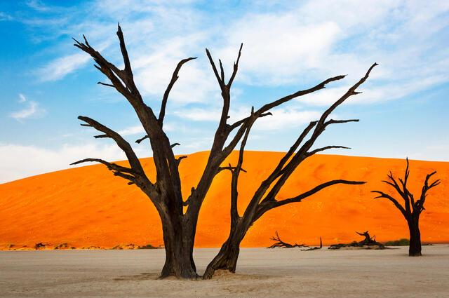 Thumbnail for original image