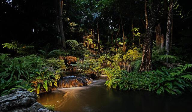 Thumbnail for original image