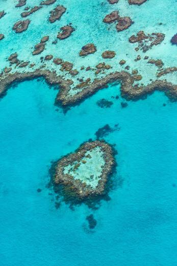 Thumbnail for original image