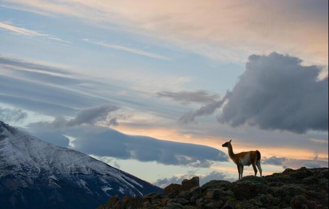 Thumbnail for original image