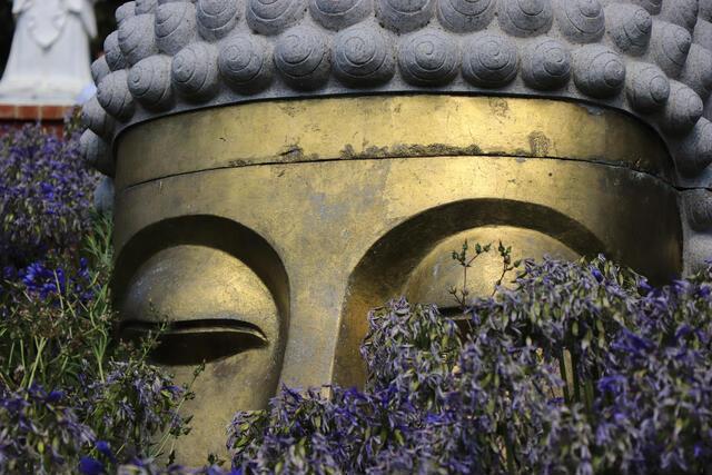 Thumbnail for original image