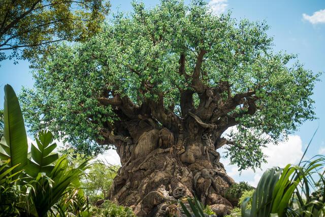 Thumbnail for original image