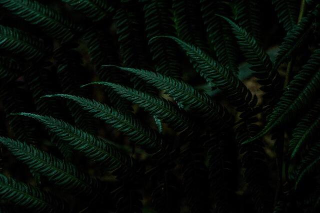 Thumbnail for original image