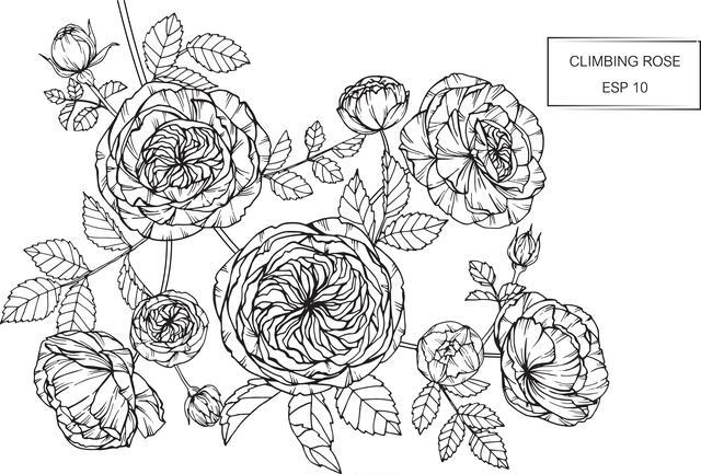 Thumbnail for original image