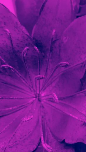 Thumbnail for original image