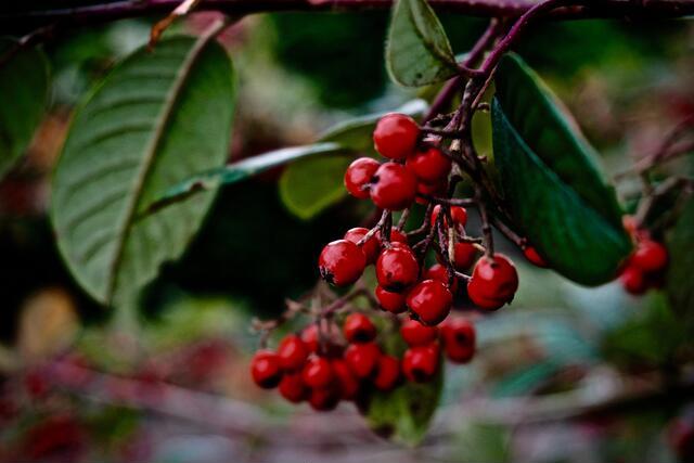 Thumbnail for original image