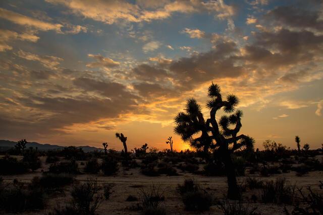 Thumbnail for original image