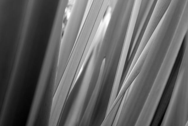 Thumbnail for original image