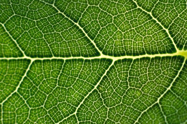 Thumbnail for original image