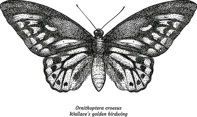 Thumbnail for original image