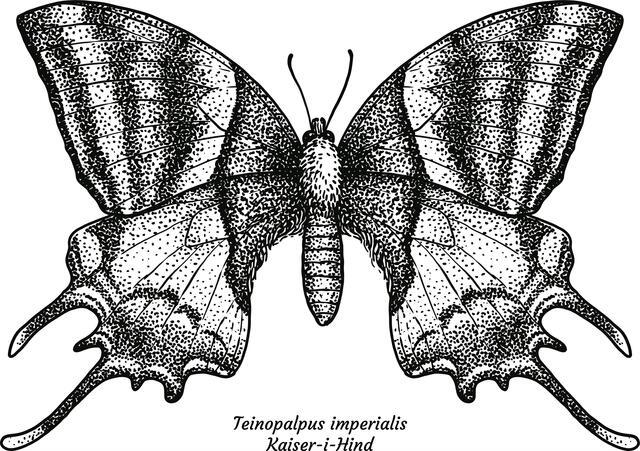 Thumbnail for original image