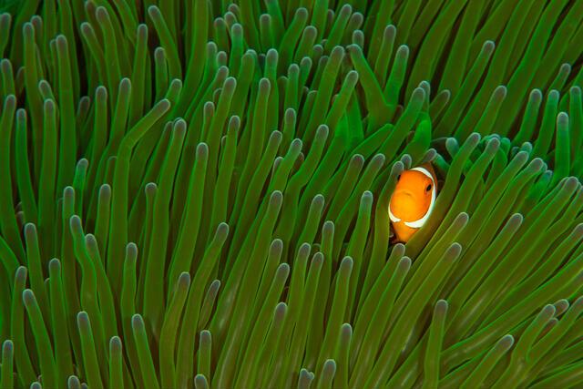 Thumbnail for original image