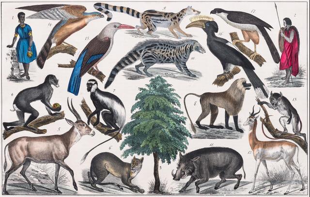 Thumbnail for original image