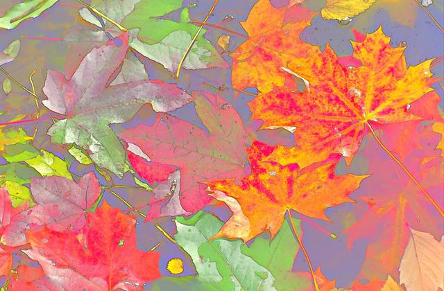 Thumbnail for original image