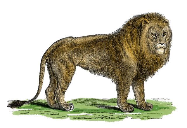 Thumbnail for original image