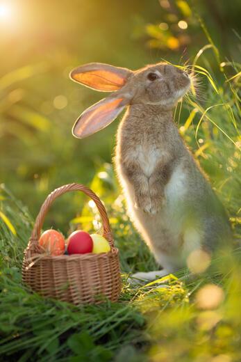 Thumbnail for original image