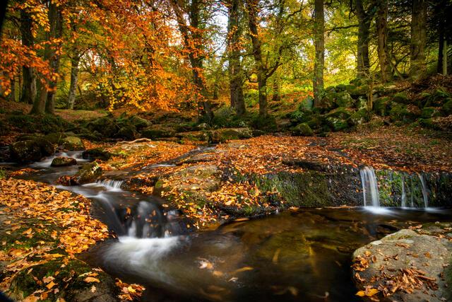 Thumbnail for original image