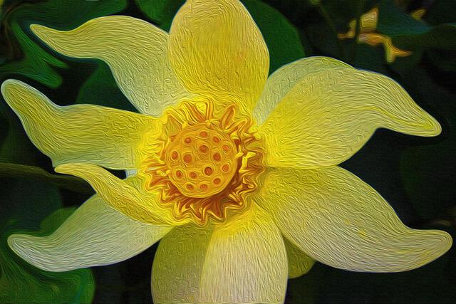 Thumbnail for original image