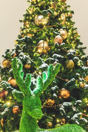 Thumbnail for original image