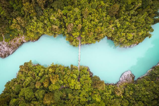 Thumbnail for original image