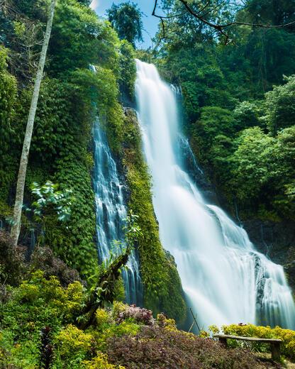 Thumbnail for original image