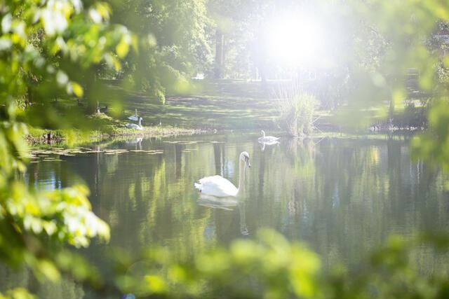 Thumbnail for original image